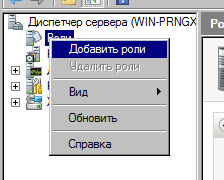 Добавление роли Windows 2008